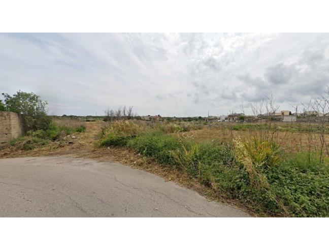Anteprima foto 3 - Altro in Vendita a Corsano (Lecce)