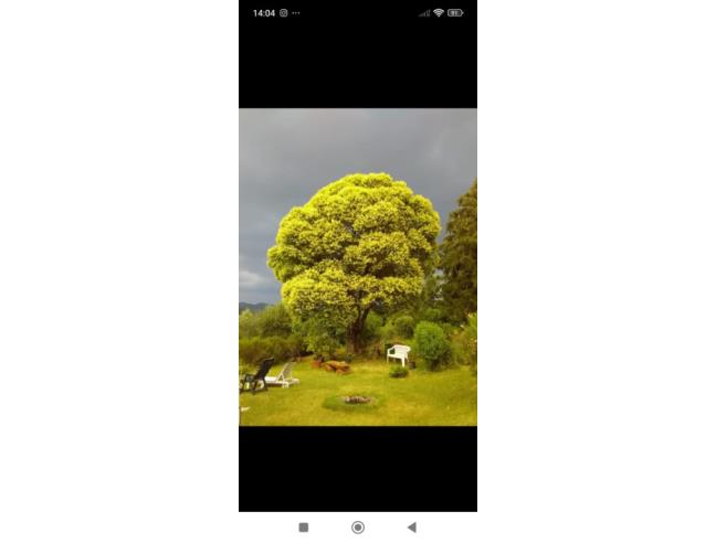 Anteprima foto 7 - Altro in Vendita a Dicomano - Carbonile