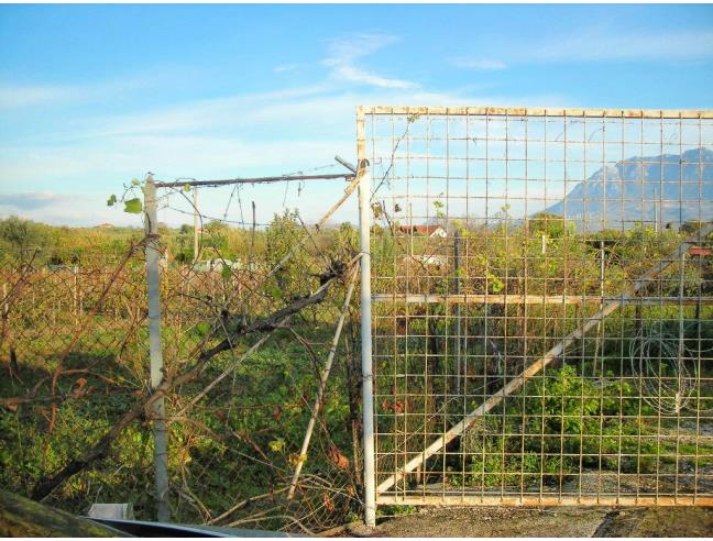 Anteprima foto 3 - Altro in Vendita a Eboli (Salerno)