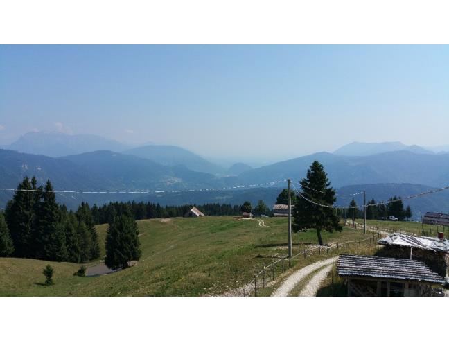 Anteprima foto 2 - Altro in Vendita a Enego (Vicenza)