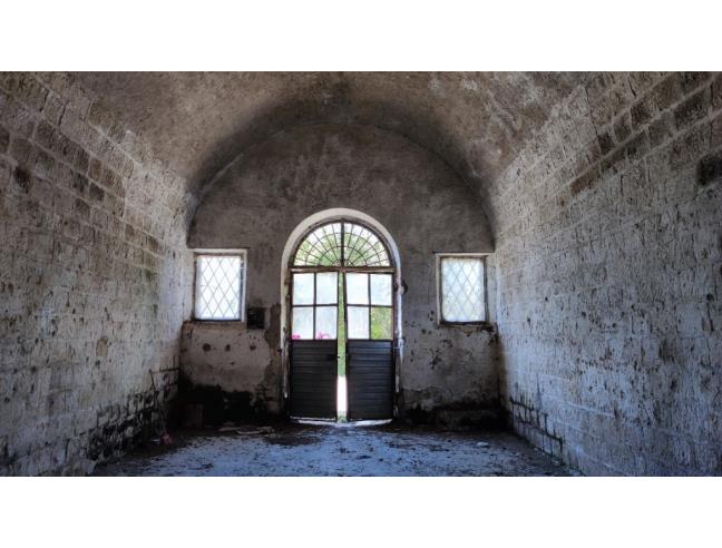 Anteprima foto 5 - Altro in Vendita a Fabrica di Roma (Viterbo)