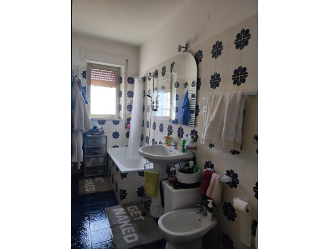 Anteprima foto 7 - Altro in Vendita a Ferrazzano (Campobasso)