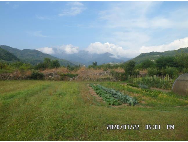 Anteprima foto 3 - Altro in Vendita a Filattiera - Cantiere-Ponticello