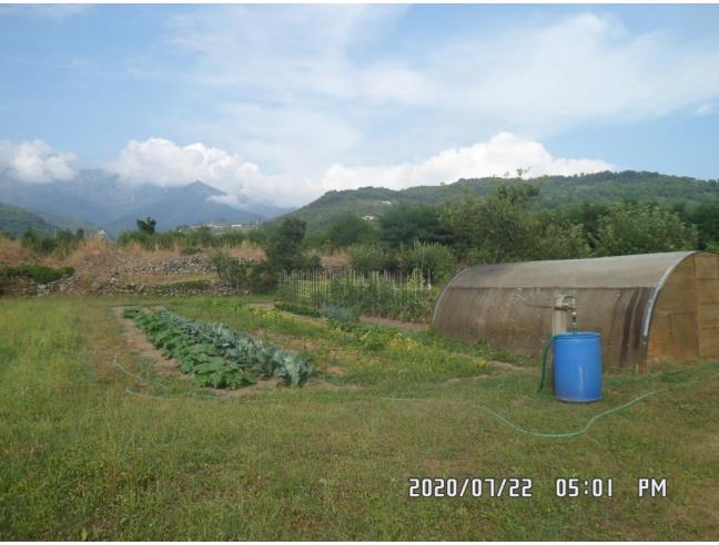 Anteprima foto 5 - Altro in Vendita a Filattiera - Cantiere-Ponticello