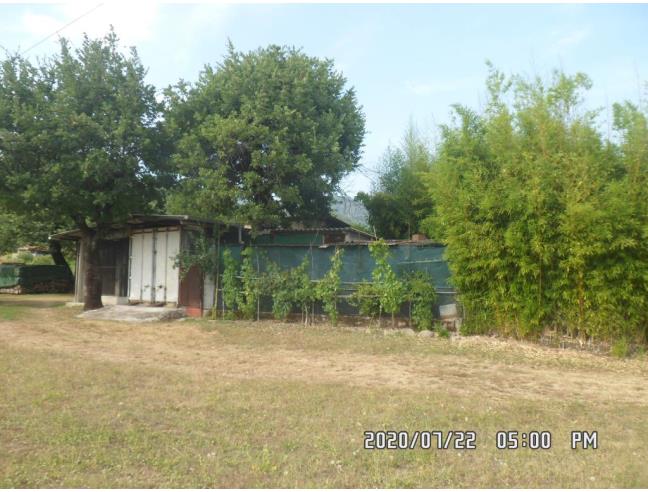 Anteprima foto 6 - Altro in Vendita a Filattiera - Cantiere-Ponticello