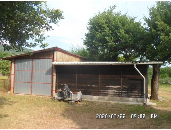 Anteprima foto 7 - Altro in Vendita a Filattiera - Cantiere-Ponticello