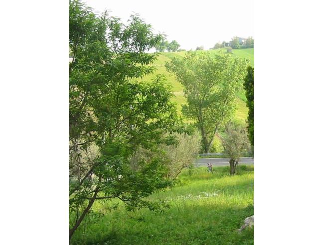 Anteprima foto 2 - Altro in Vendita a Filottrano - Montoro