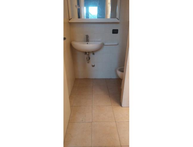 Anteprima foto 6 - Altro in Vendita a Fontevivo - Ponte Taro