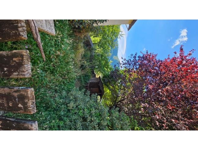 Anteprima foto 5 - Altro in Vendita a Fosciandora - La Villa