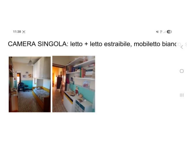 Anteprima foto 4 - Altro in Vendita a Frasso Telesino (Benevento)