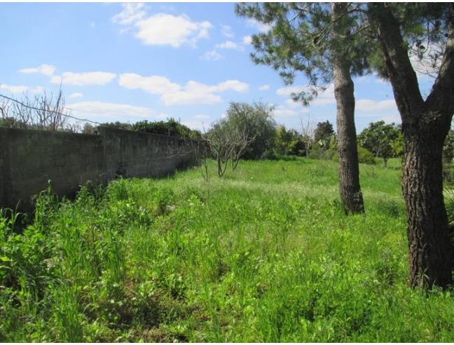 Anteprima foto 2 - Altro in Vendita a Galatina - Contrada Guidano