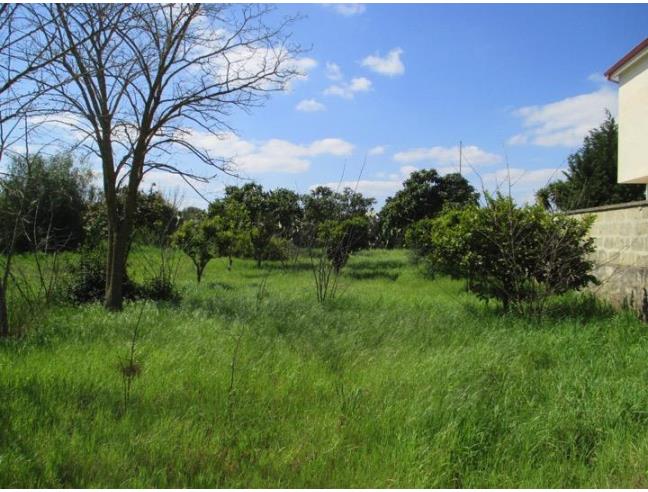 Anteprima foto 3 - Altro in Vendita a Galatina - Contrada Guidano