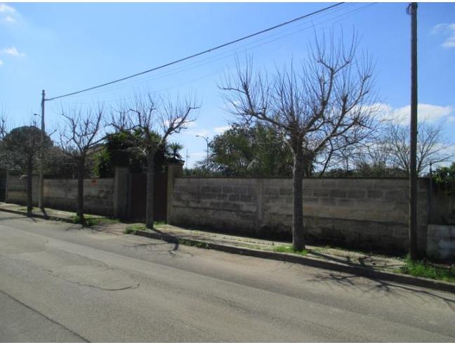 Anteprima foto 4 - Altro in Vendita a Galatina - Contrada Guidano