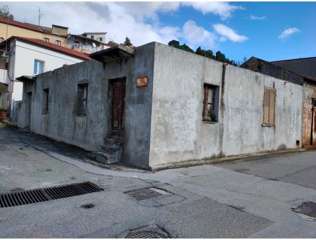 Anteprima foto 4 - Altro in Vendita a Galatro (Reggio Calabria)