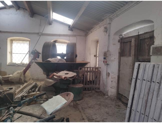 Anteprima foto 2 - Altro in Vendita a Gerace (Reggio Calabria)
