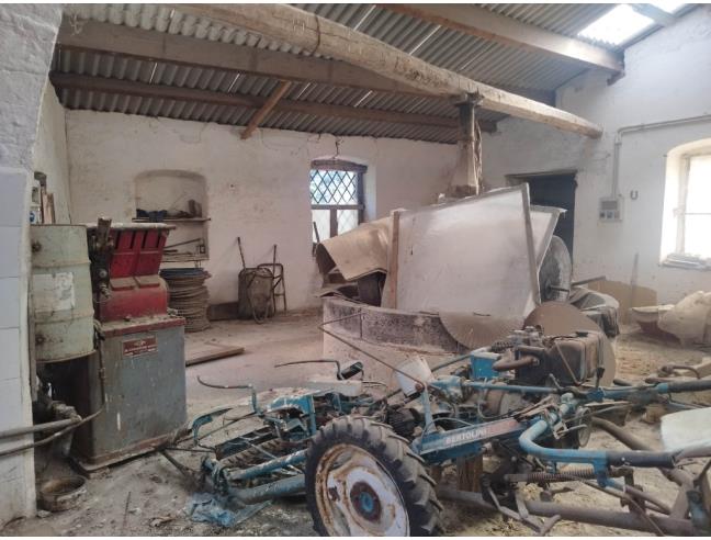 Anteprima foto 3 - Altro in Vendita a Gerace (Reggio Calabria)