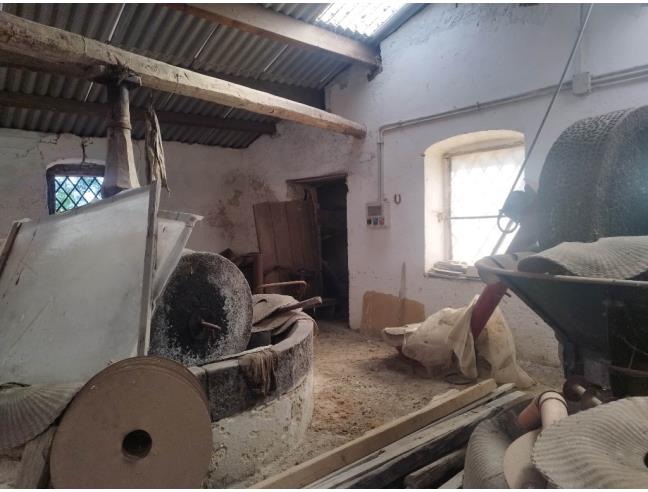 Anteprima foto 4 - Altro in Vendita a Gerace (Reggio Calabria)