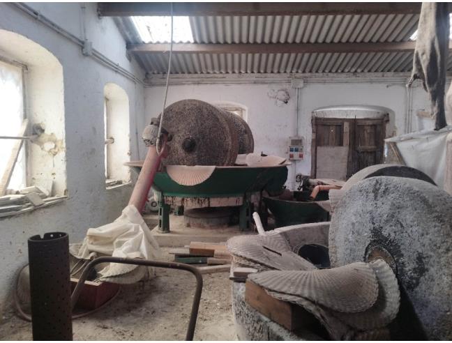 Anteprima foto 5 - Altro in Vendita a Gerace (Reggio Calabria)