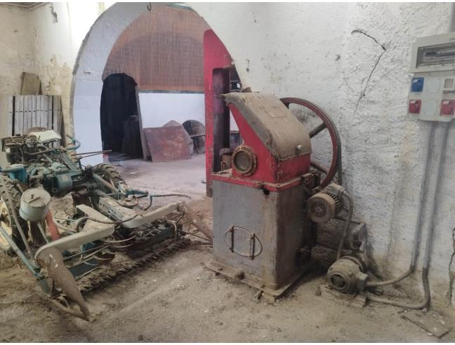 Anteprima foto 6 - Altro in Vendita a Gerace (Reggio Calabria)