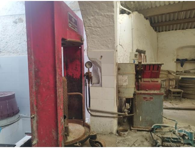 Anteprima foto 7 - Altro in Vendita a Gerace (Reggio Calabria)