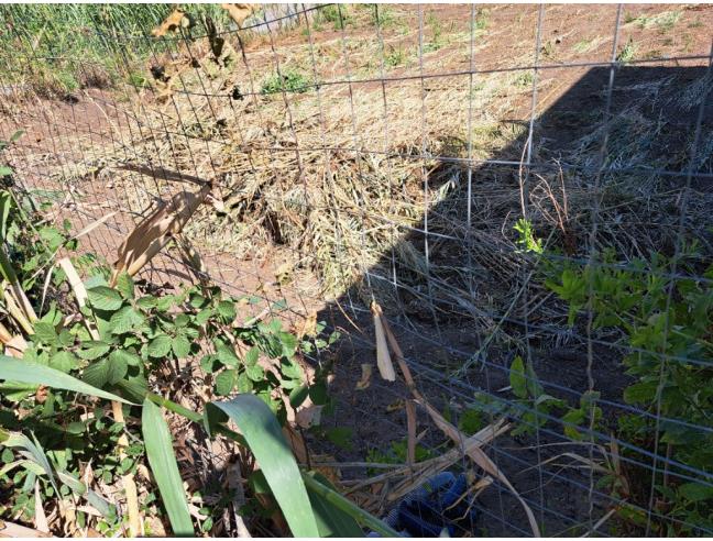 Anteprima foto 2 - Altro in Vendita a Gioia Tauro (Reggio Calabria)