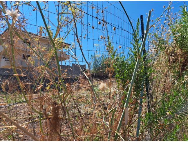 Anteprima foto 4 - Altro in Vendita a Gioia Tauro (Reggio Calabria)