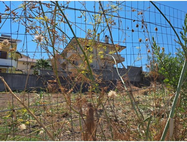 Anteprima foto 5 - Altro in Vendita a Gioia Tauro (Reggio Calabria)