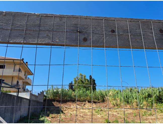 Anteprima foto 6 - Altro in Vendita a Gioia Tauro (Reggio Calabria)