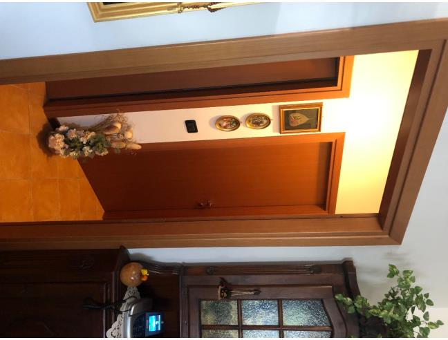 Anteprima foto 7 - Altro in Vendita a Greve in Chianti (Firenze)