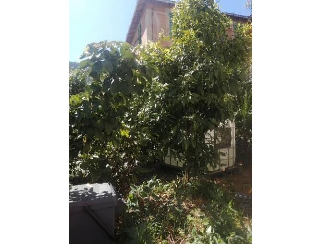 Anteprima foto 4 - Altro in Vendita a La Spezia - Cadimare