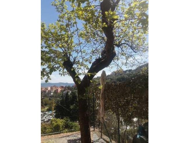 Anteprima foto 6 - Altro in Vendita a La Spezia - Cadimare