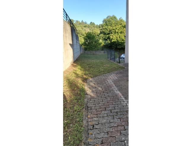 Anteprima foto 4 - Altro in Vendita a Latera (Viterbo)