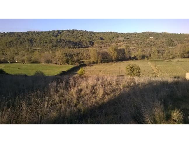 Anteprima foto 2 - Altro in Vendita a Lattarico - Regina