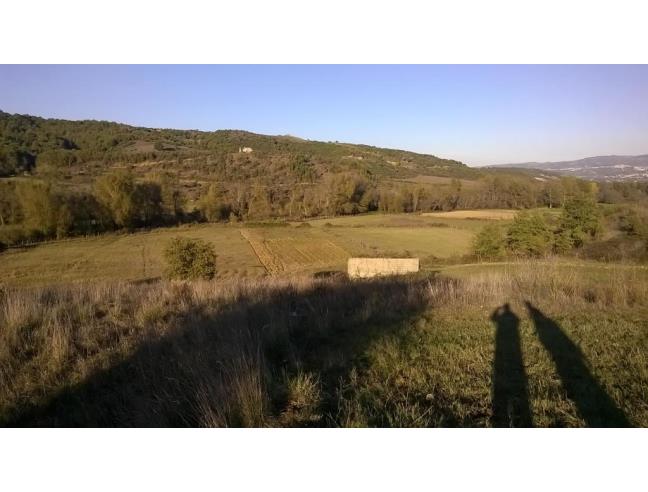 Anteprima foto 3 - Altro in Vendita a Lattarico - Regina