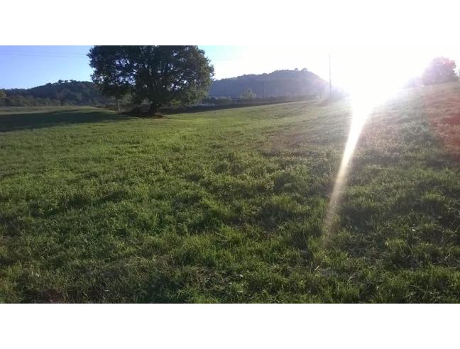 Anteprima foto 4 - Altro in Vendita a Lattarico - Regina