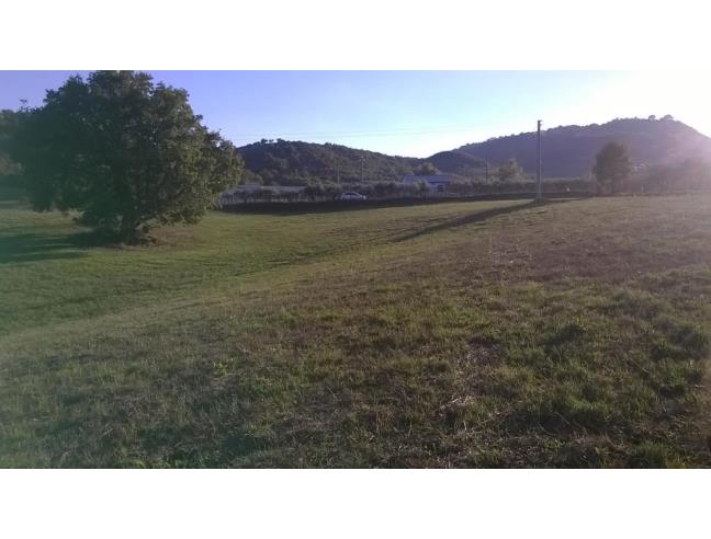 Anteprima foto 5 - Altro in Vendita a Lattarico - Regina