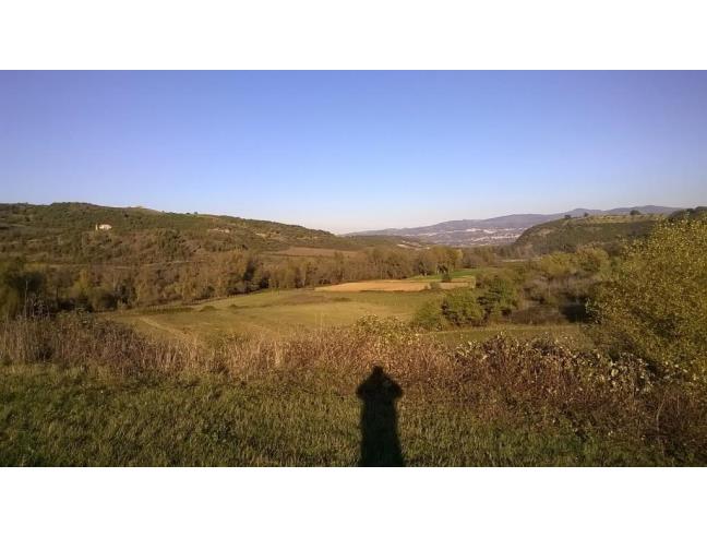 Anteprima foto 7 - Altro in Vendita a Lattarico - Regina