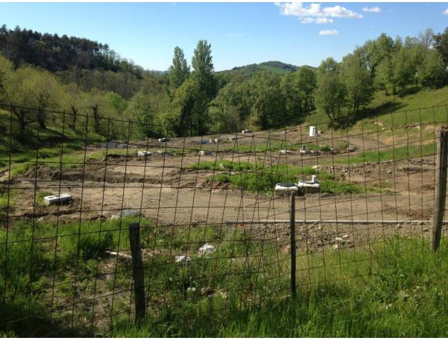 Anteprima foto 3 - Altro in Vendita a Loiano - Scanello