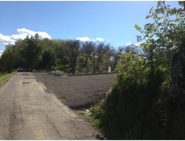 Anteprima foto 5 - Altro in Vendita a Loiano - Scanello