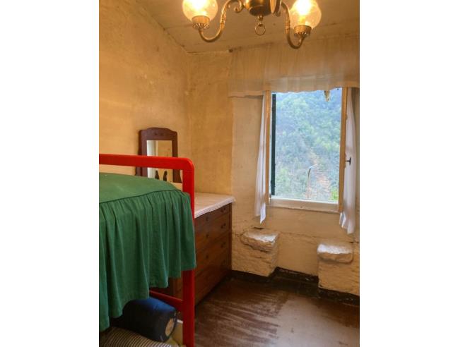 Anteprima foto 6 - Altro in Vendita a Lorsica - Figarolo