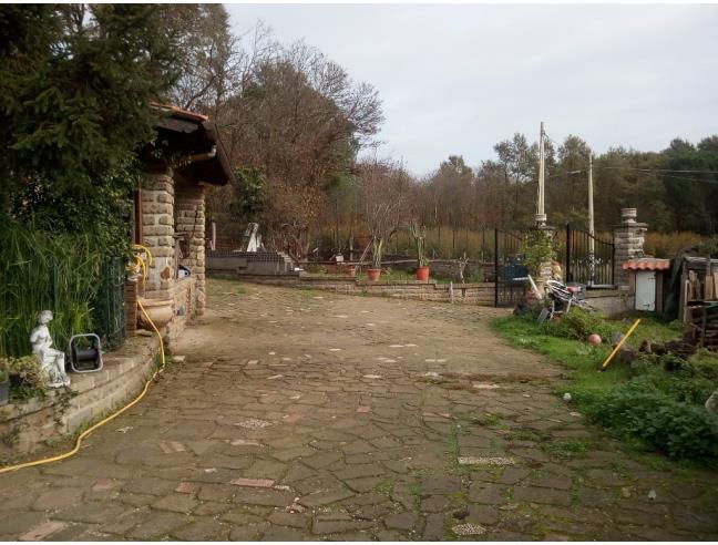 Anteprima foto 4 - Altro in Vendita a Manziana (Roma)