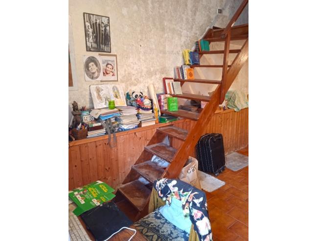 Anteprima foto 2 - Altro in Vendita a Marciana (Livorno)