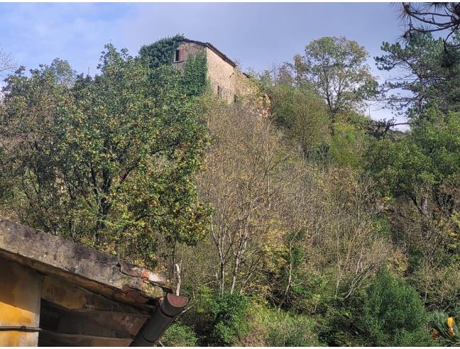 Anteprima foto 1 - Altro in Vendita a Marradi (Firenze)