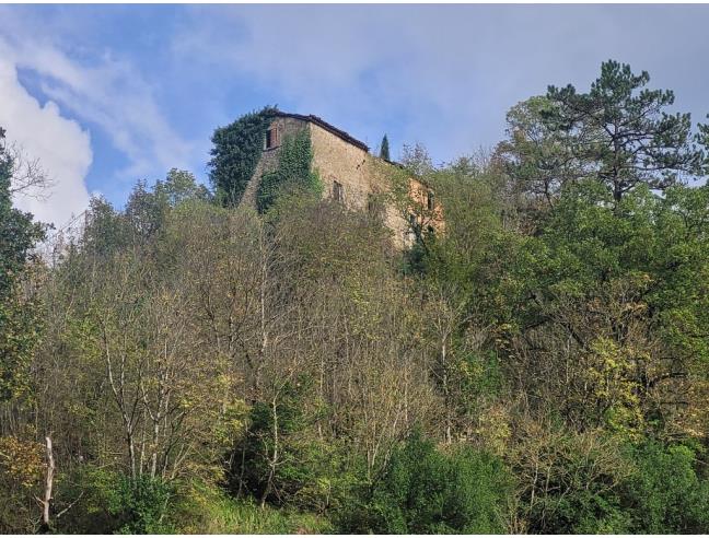 Anteprima foto 2 - Altro in Vendita a Marradi (Firenze)