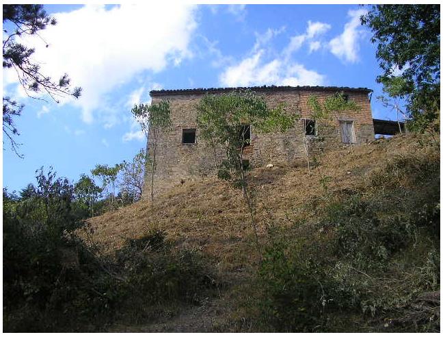 Anteprima foto 5 - Altro in Vendita a Marradi (Firenze)