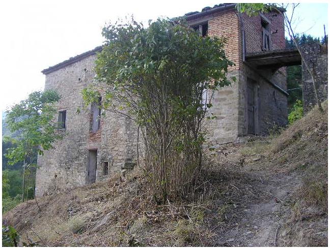 Anteprima foto 8 - Altro in Vendita a Marradi (Firenze)