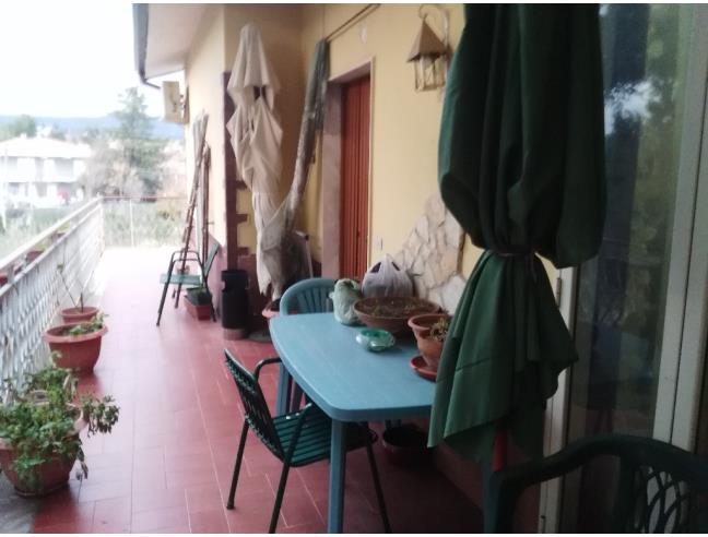 Anteprima foto 8 - Altro in Vendita a Mascalucia - Massa Annunziata