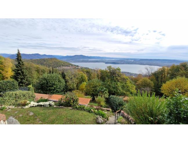 Anteprima foto 2 - Altro in Vendita a Massino Visconti - San Salvatore