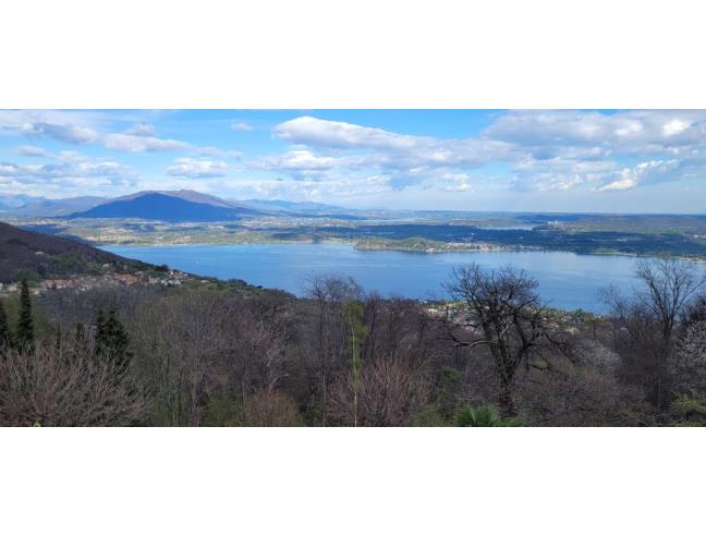 Anteprima foto 3 - Altro in Vendita a Massino Visconti - San Salvatore