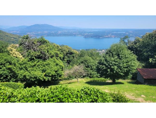 Anteprima foto 4 - Altro in Vendita a Massino Visconti - San Salvatore